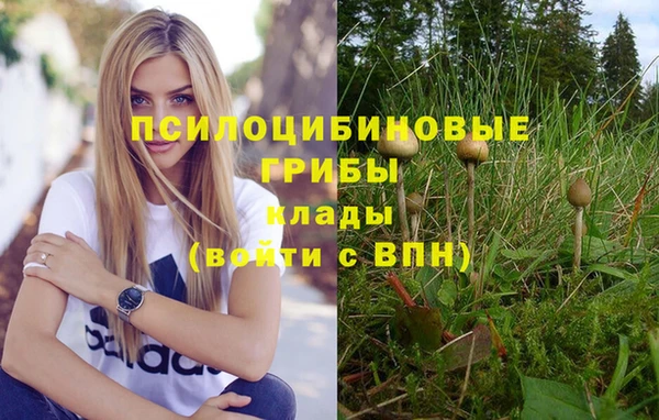 метамфетамин Лиски