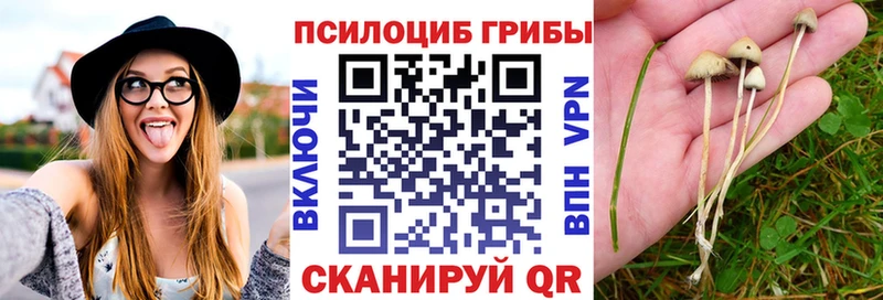 Галлюциногенные грибы мицелий  Пикалёво 